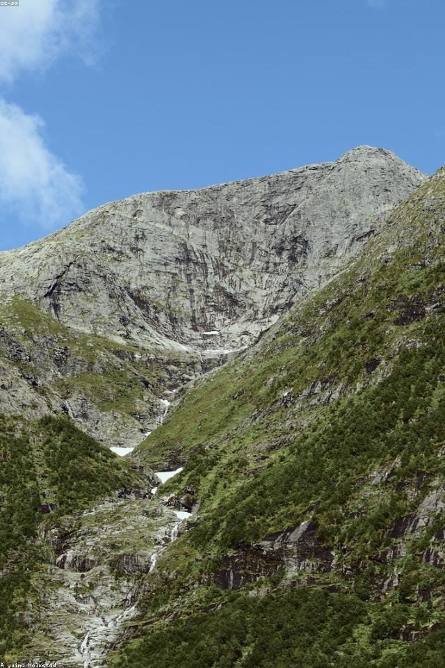 Nature documentaries in 4K